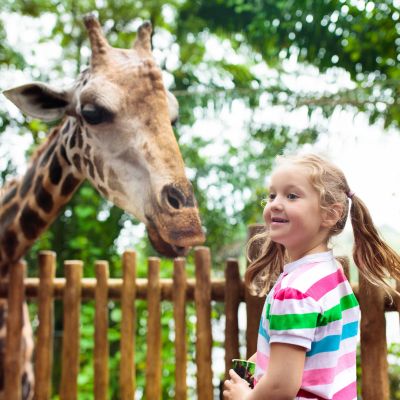 Zoo